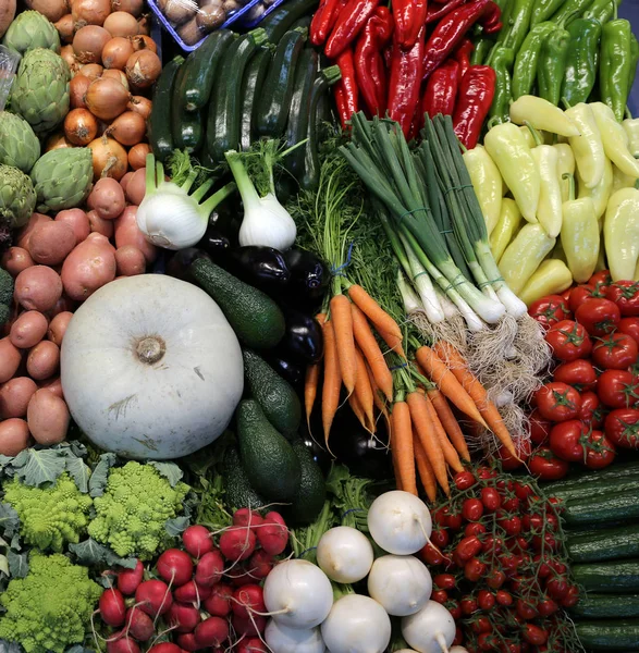 Group of various vegetables and as background. Agricultural products as a background. Healthy organic harvest vegetables as seasonal kitchen ingredients for sale at farmers market