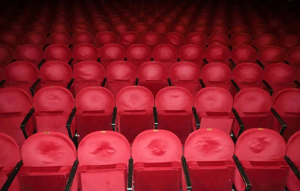 Filas Clásicas Asientos Rojos Vacíos Teatro Salón Sin Visitas Profundidad —  Fotos de Stock
