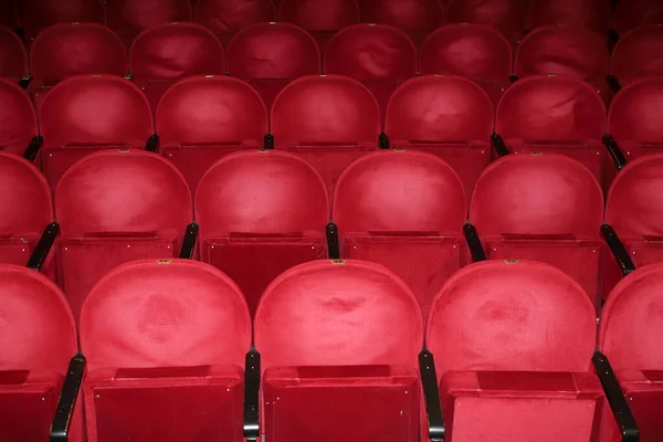 Filas Clásicas Asientos Rojos Vacíos Teatro Salón Sin Visitas Profundidad —  Fotos de Stock