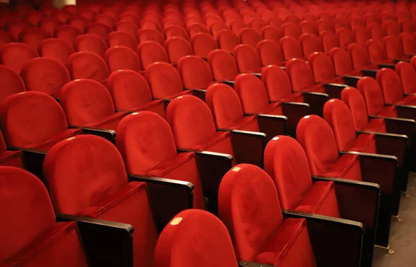 Filas Clásicas Asientos Rojos Vacíos Teatro Salón Sin Visitas Profundidad —  Fotos de Stock