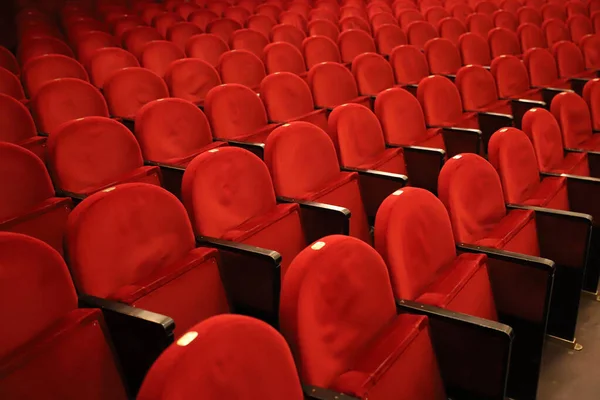 Filas Clásicas Asientos Rojos Vacíos Teatro Salón Sin Visitas Profundidad —  Fotos de Stock