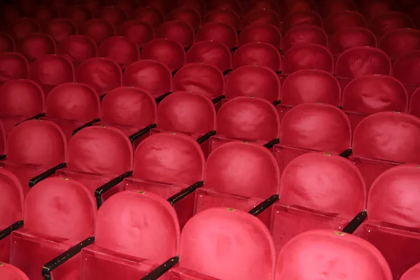 Filas Clásicas Asientos Rojos Vacíos Teatro Salón Sin Visitas Profundidad —  Fotos de Stock