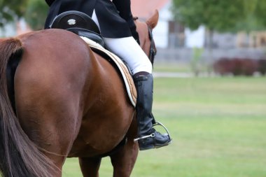 Binicilik sahasındaki at biniciliği etkinliğinde bilinmeyen yarışmacılar. Yarışma sırasında bir binicilik atının kafasından vurulmuş.