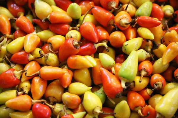 Pilha Pimentas Frescas Maduras Para Venda Mercado Legumes Como Pano — Fotografia de Stock
