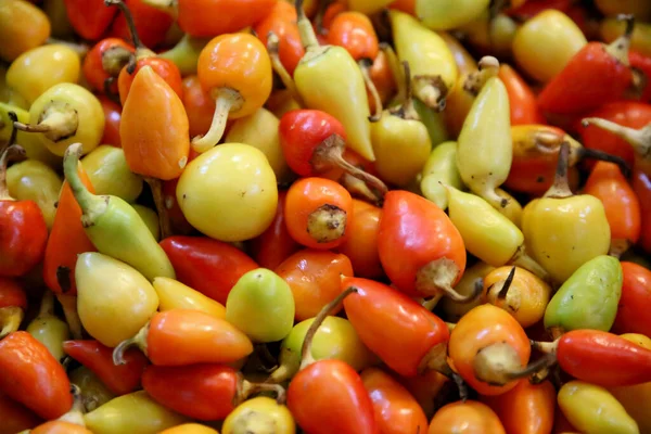 Pilha Pimentas Frescas Maduras Para Venda Mercado Legumes Como Pano — Fotografia de Stock