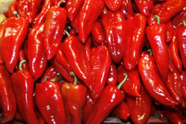 Renkli taze biber yığını. Yemek pişirmek için kırmızı biber ya da salata açık hava çiftçi pazarında satılıktır.