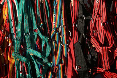 Binicilik sporları için çeşitli renkli aksesuarlar grubu