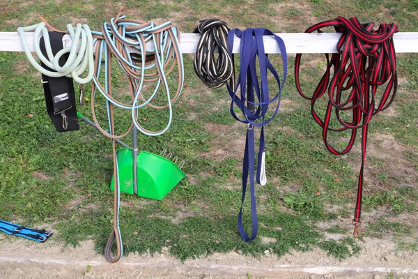 Groep Van Verschillende Kleurrijke Accessoires Voor Paardensport — Stockfoto