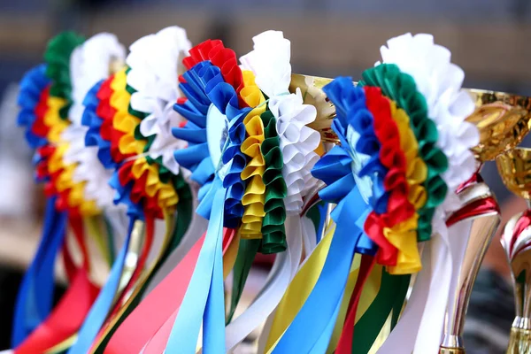 Group of horse riding equestrian sport trophies awards at equestrian racehorse event at summertime outdoors