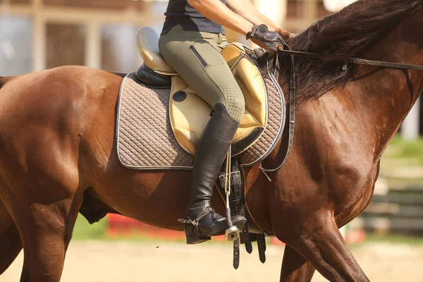 Sela Com Estribos Umas Costas Cavalo Feche Cavalo Esporte Curativo — Fotografia de Stock