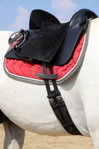 Saddle Stirrups Back Horse Close Sport Horse Dressage Horses Equestrian — Stock Photo, Image