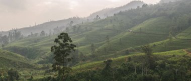 Sri-Lanka manzara pano