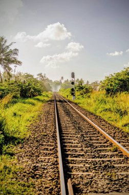 Ormandaki demiryolu Sri Lanka