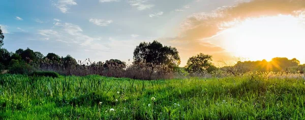Yeşil tarlalı ve mavi gökyüzüyle manzara