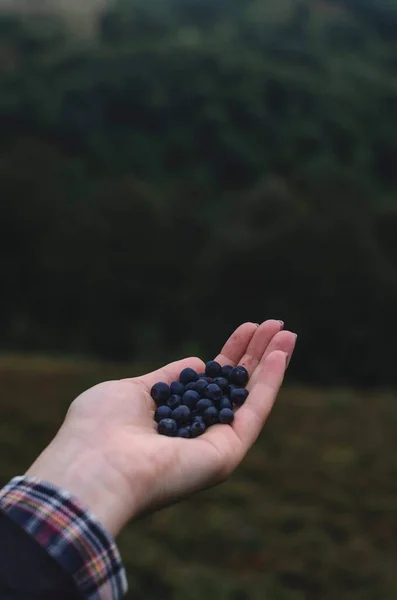 Hand Met Bessen Een Groene Achtergrond — Stockfoto