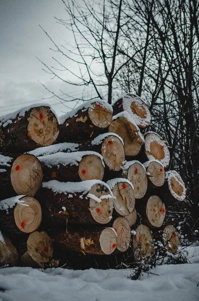 Gestapeld Bos Sneeuw — Stockfoto