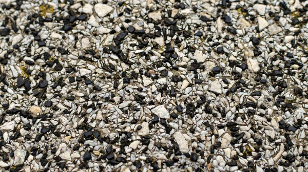 taş arkaplan çakıl dokusu