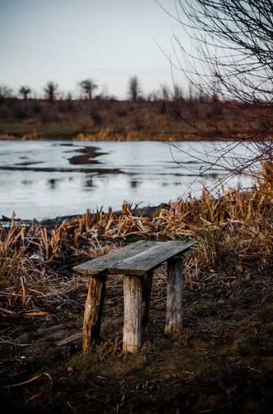 Ormanda kış gölü