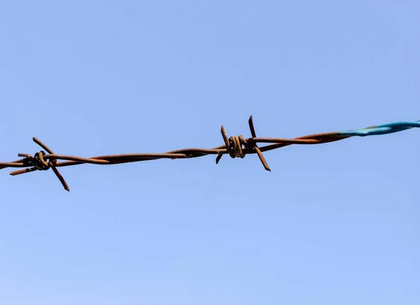 Barbed Wire Blue Sky Background — Stock Photo, Image