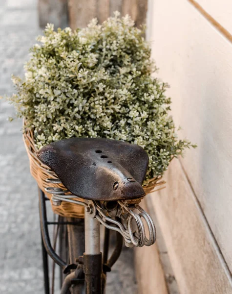 Duvarda yeşil çiçek sepeti olan eski bir bisiklet eyeri.