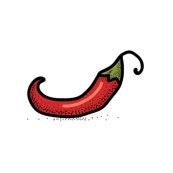 Chili Pepper ilustración vectorial dibujado a mano. Objeto de estilo artístico vegetal. Pimienta mexicana picante picante aislada. Icono de estilo cómico . — Vector de stock