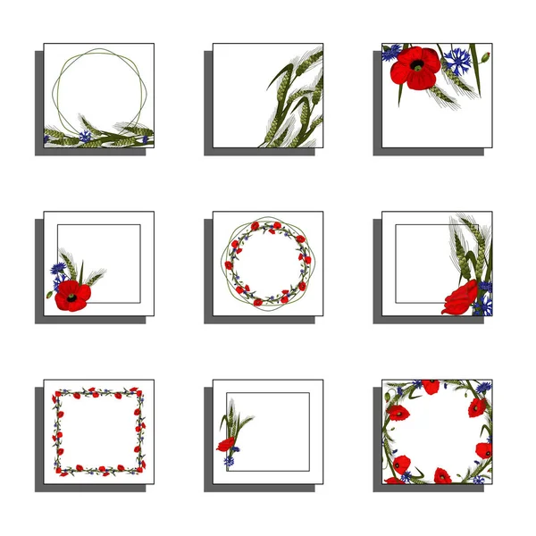 Ein Set Quadratischer Karten Mit Ähren Kornblumen Und Mohnfarben Auf — Stockfoto