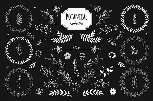 Elementos Florales Vectoriales Dibujados Mano Ramas Hojas Colección Hierbas Plantas — Vector de stock