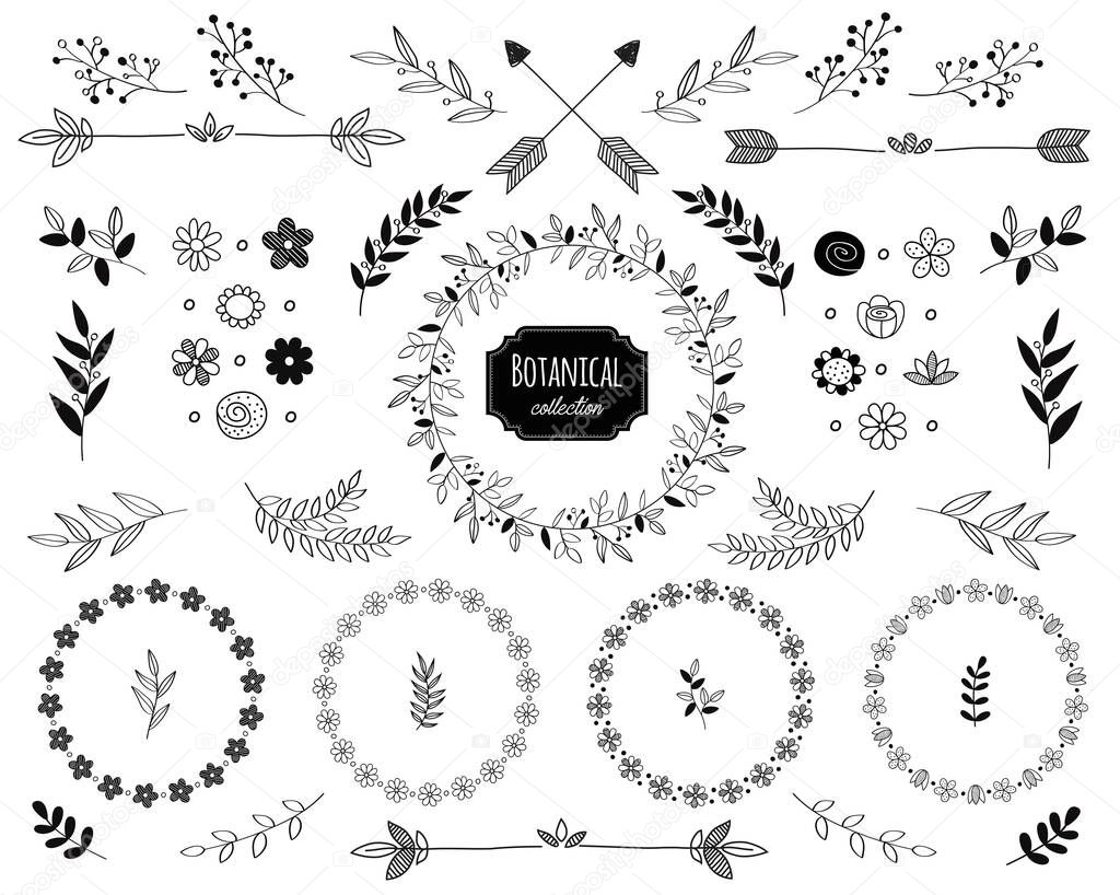 Hand drawn vector floral elements. Branches and leaves. Herbs and plants collection. Vintage botanical illustrations and floral wreaths.