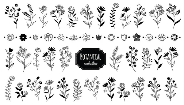 Definir Elementos Botânicos Vintage Flor Elemento Design Vetorial Rústico Desenhado — Vetor de Stock