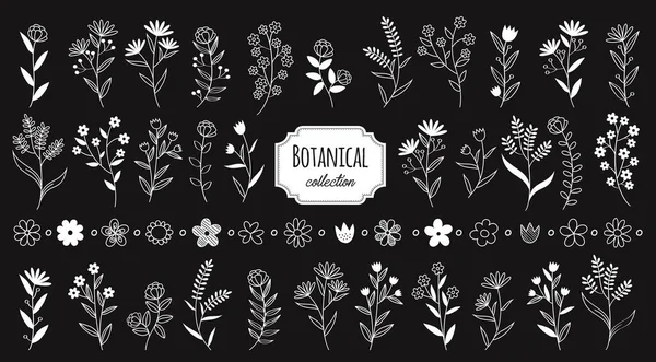 Set Elementos Botánicos Vintage Flor Elemento Diseño Vectorial Rústico Dibujado — Vector de stock