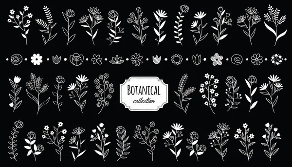 Zestaw Vintage Elementy Botaniczne Kwiat Ręcznie Rysowany Element Wektora Rustykalnego — Wektor stockowy