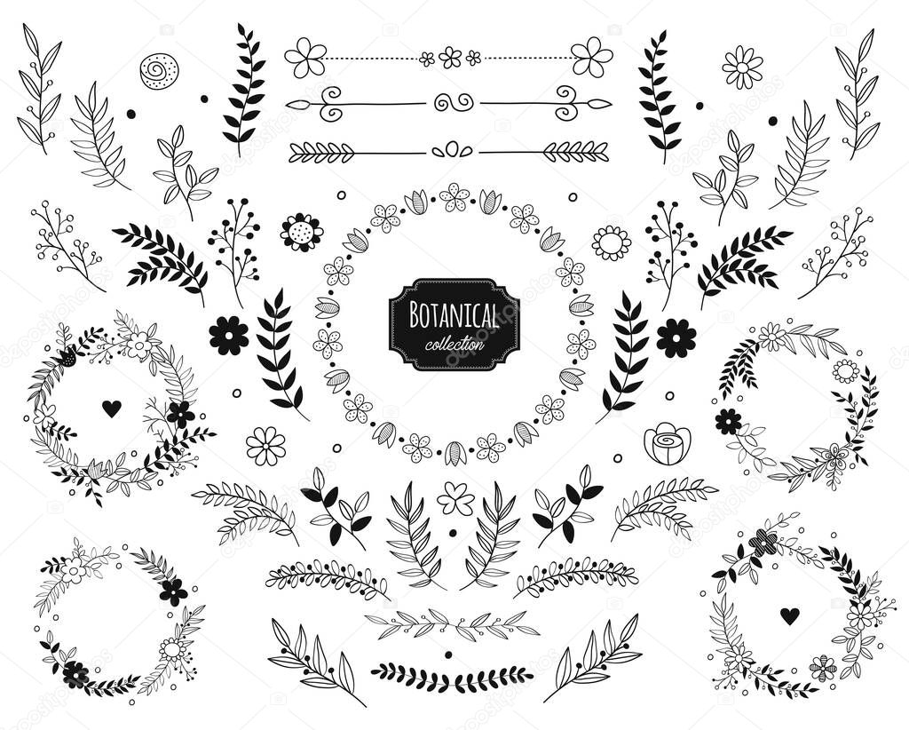 Hand drawn vector floral elements. Branches and leaves. Herbs and plants collection. Vintage botanical illustrations and floral wreaths.