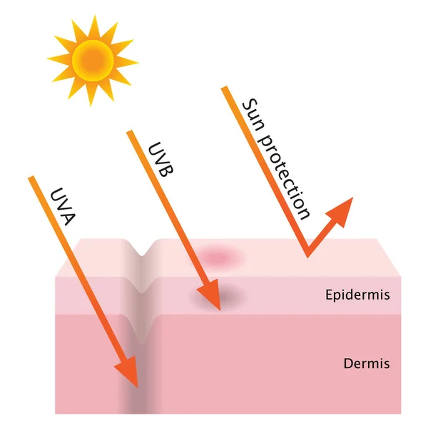 Penetração UV e proteção solar — Vetor de Stock