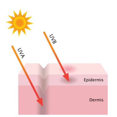 UVA ve Uvb radyasyon cilt içine nüfuz
