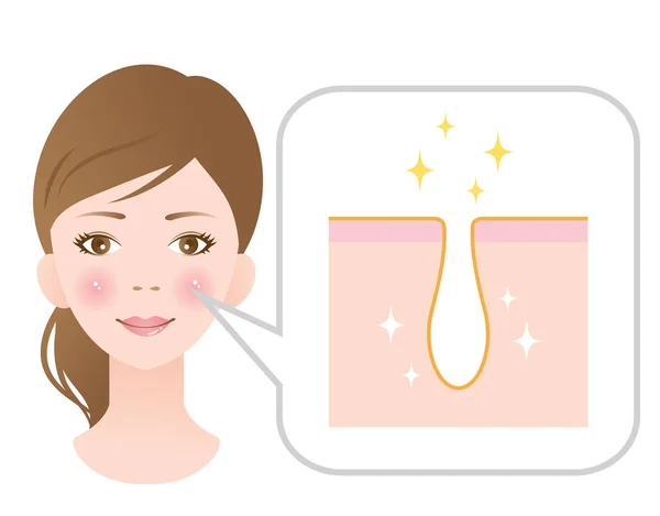 Schoon poriën op vrouwelijke gezicht — Stockvector