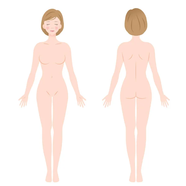 Μπροστινή και πίσω όψη της διαρκούς γυναικείο γυμνό — Διανυσματικό Αρχείο