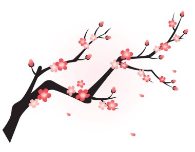 Erik çiçeği bahar