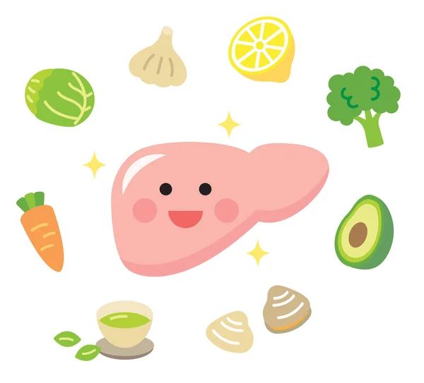 Liver cartoon Vector Art Stock Images | Depositphotos Liver cartoon Vector Art Stock Images | Depositphotos