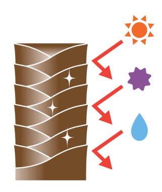 Sağlıklı tırnak eti pürüzsüz ve düzdür. Bu saç parlatıyor ve hasarı önlüyor. Beyaz arkaplanda izole