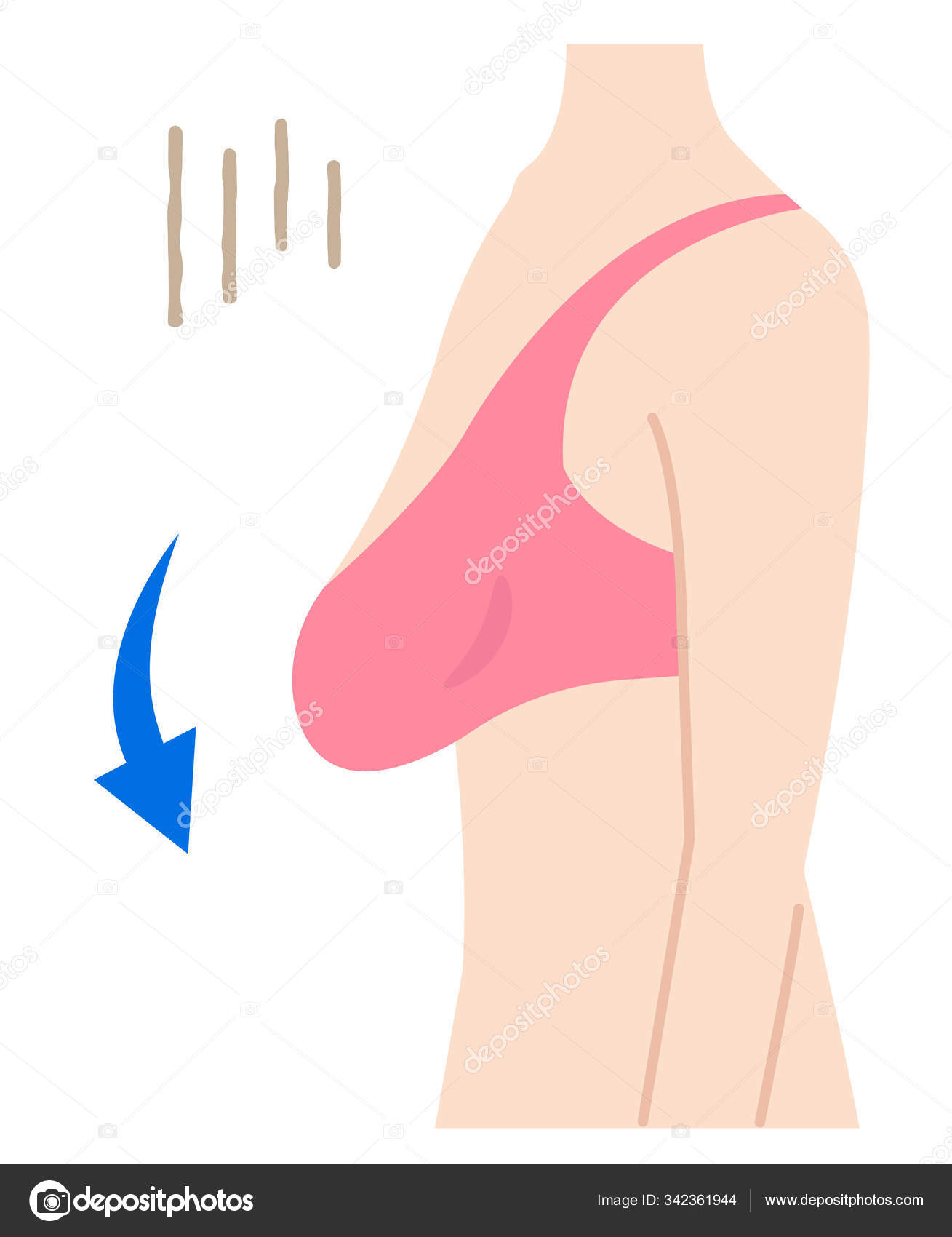 Sagging Breasts Womans Body Illustration Beauty Body Health Care