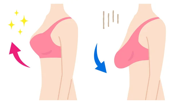 Stevige Slappe Borsten Illustratie Womens Beauty Body Care Concept — Stockvector