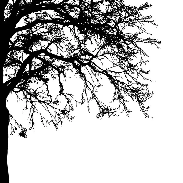 Silhouette d'arbre réaliste — Image vectorielle