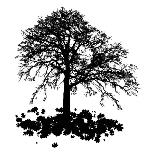 Реалистичный силуэт дерева — стоковый вектор