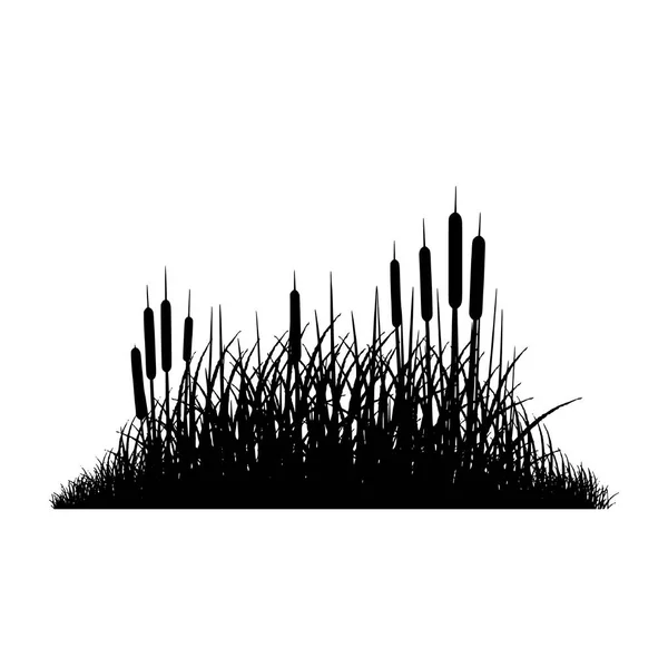 Grass silhouette  (Vector illustration). — Stock Vector