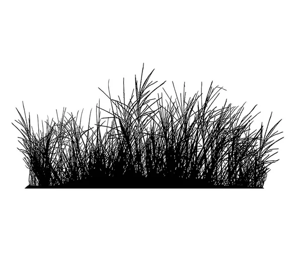Realistiska gräs silhuetter (vektorillustration). — Stock vektor