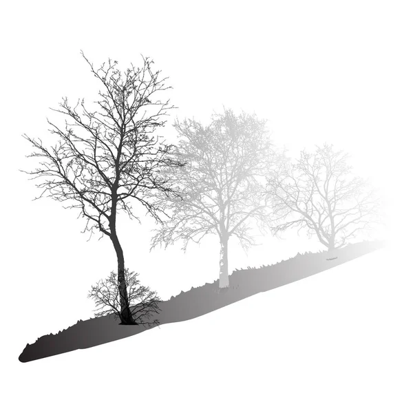Sílhueta de árvores realistas no nevoeiro (ilustração vetorial ). — Vetor de Stock