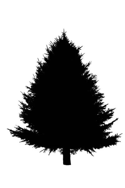 Silhouette Sapin Noël Naturel — Photo