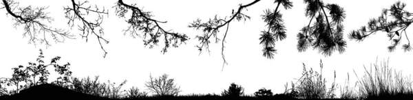 Conjunto Vectorial Ramas Árboles Naturales Arbustos Hierba — Archivo Imágenes Vectoriales