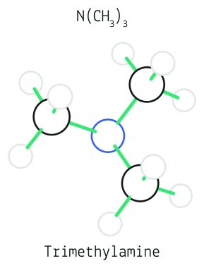 Trimethylamine C3h9n molekül