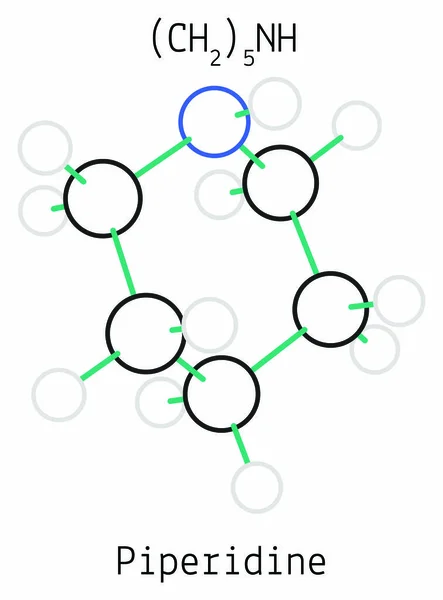 Piperidine C5H11N molecule — Stock Vector